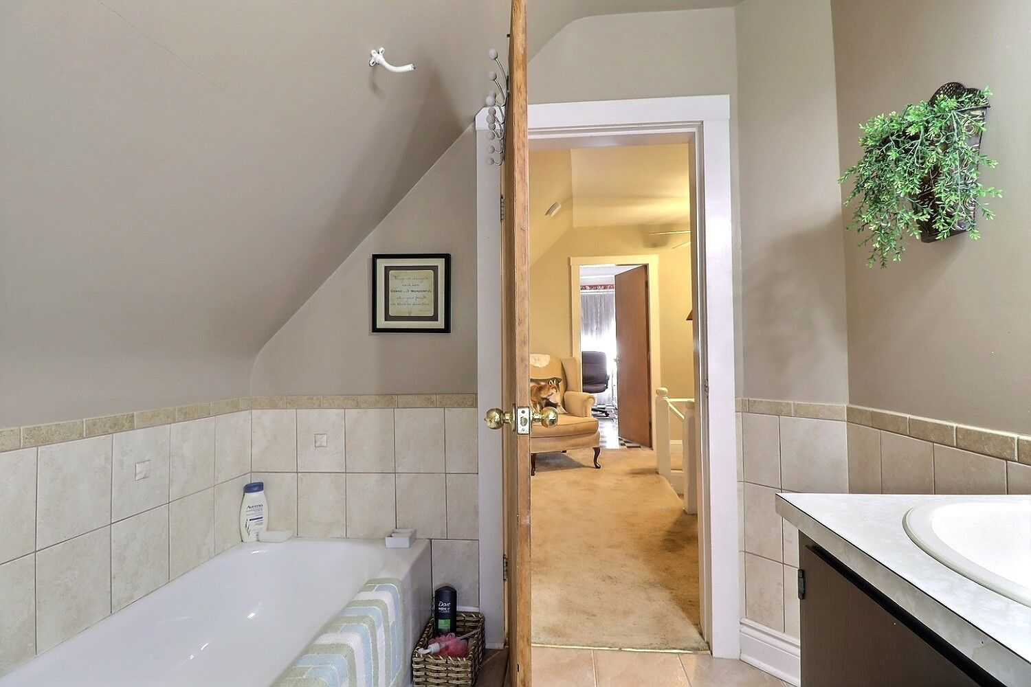  Photo 42