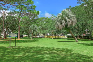 Avondale Neighborhood