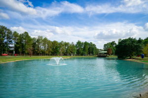 Fox Springs Park area lake