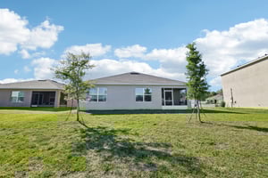 Canary Ln-041.jpg