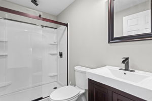 Lower Level - Bathroom