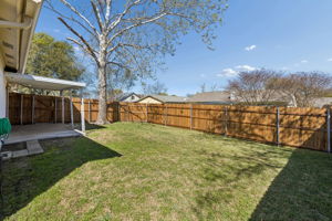 Spacious Backyard