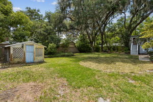 Backyard