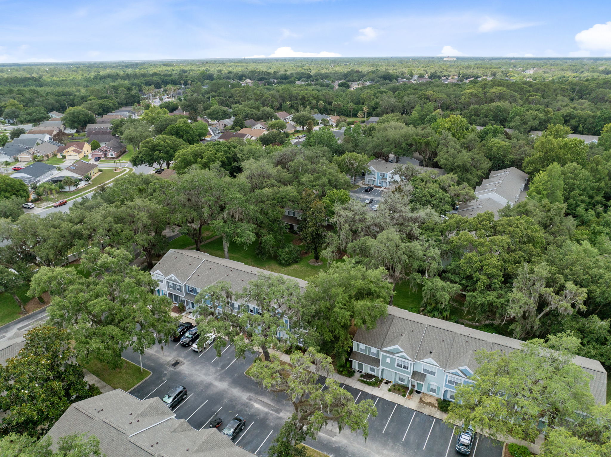 Bird-Eye View