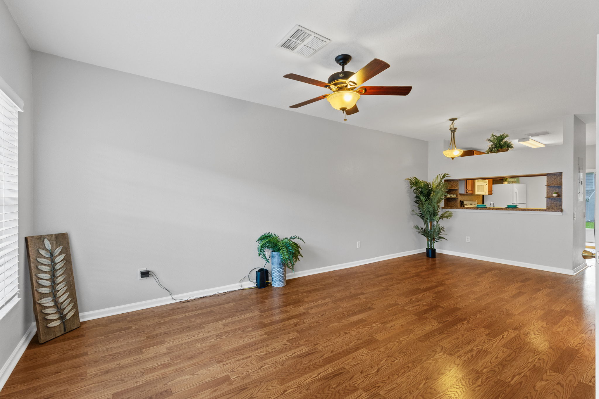Living Room/Dining Room Combo