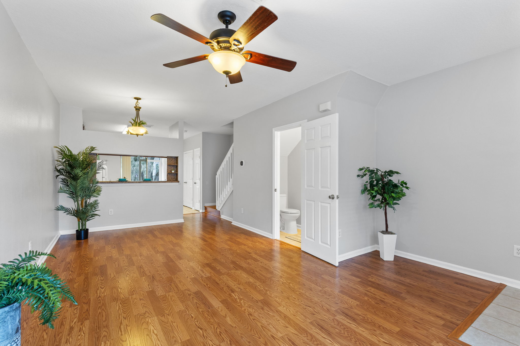 Living Room/Dining Room Combo/Foyer