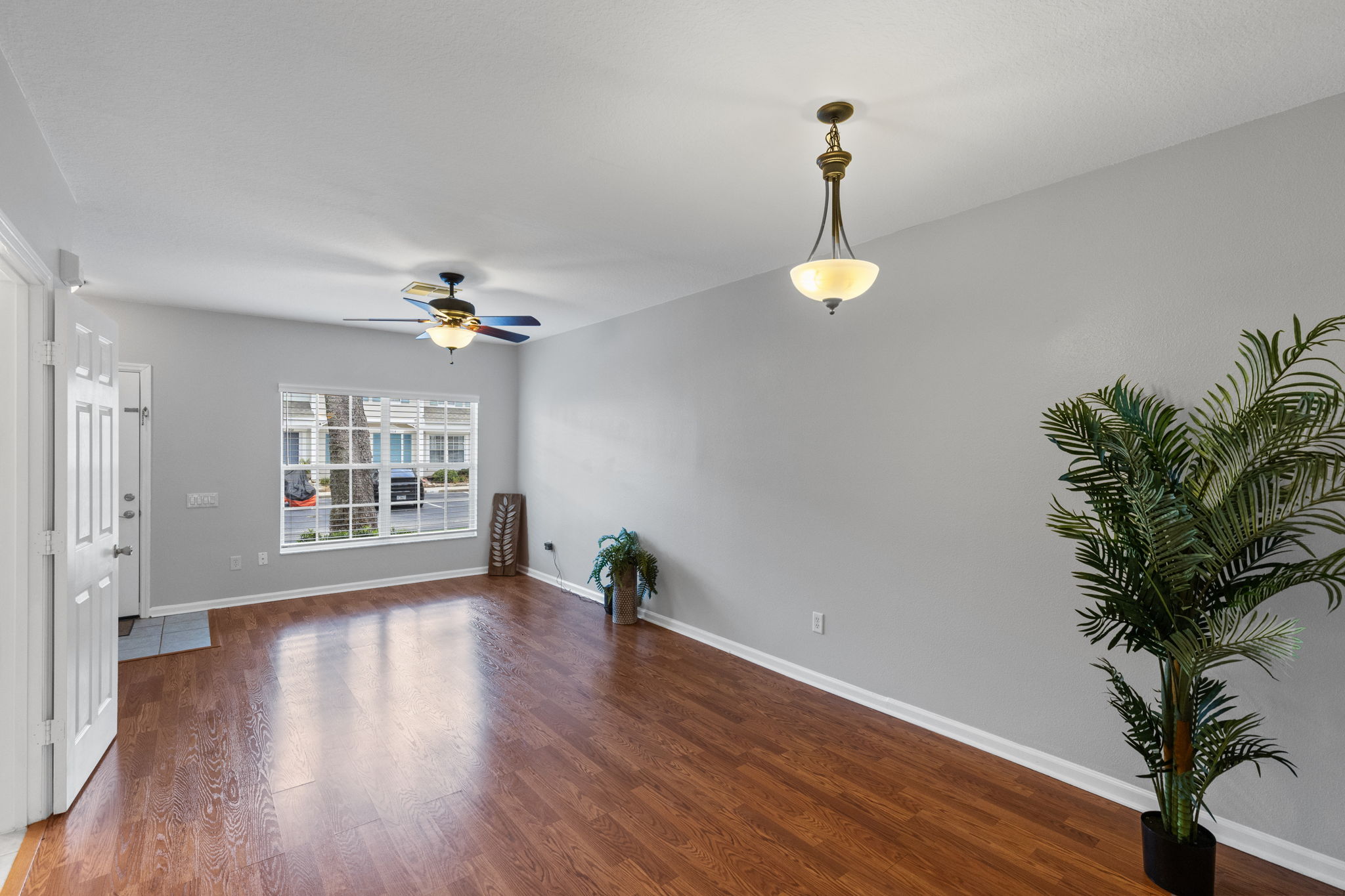 Living Room/Dining Room Combo