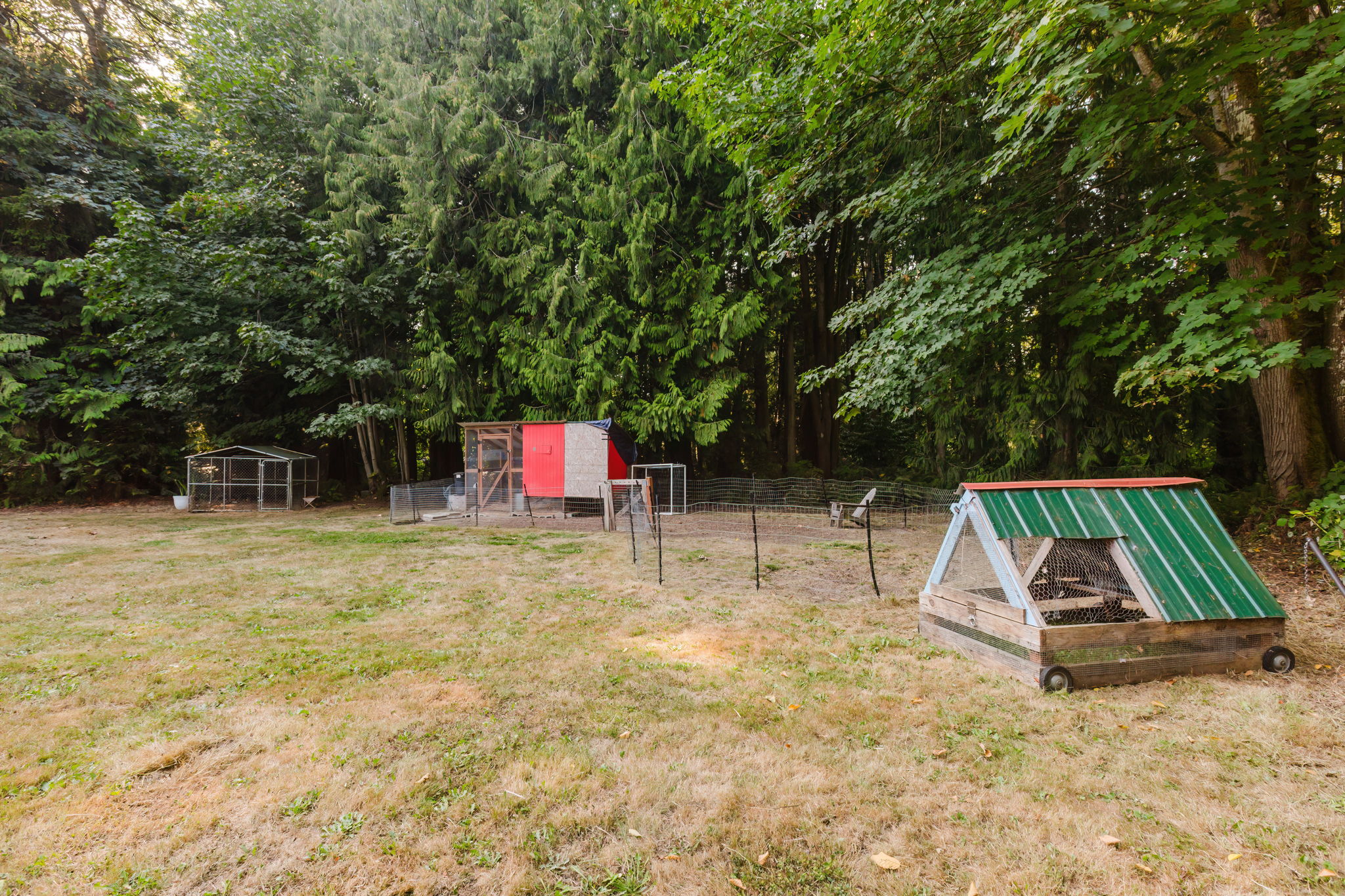  Photo 40