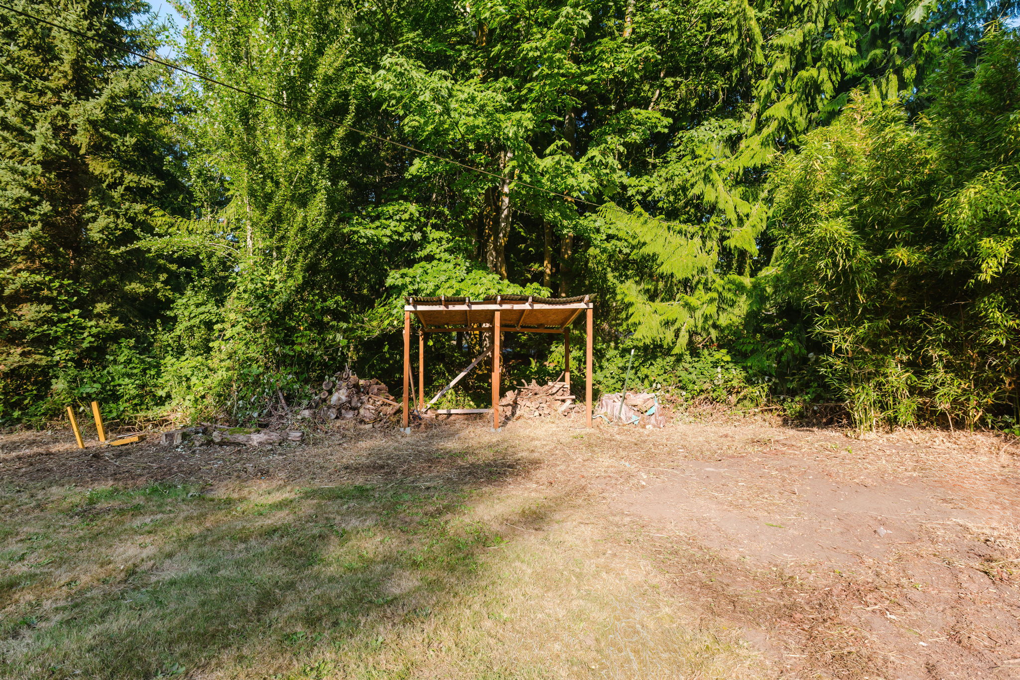  Photo 49