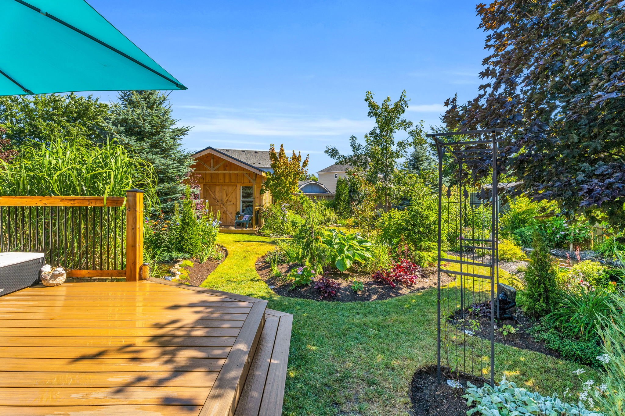 Backyard