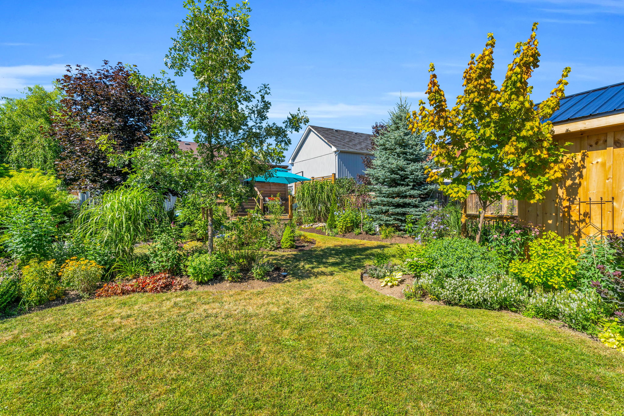 Backyard