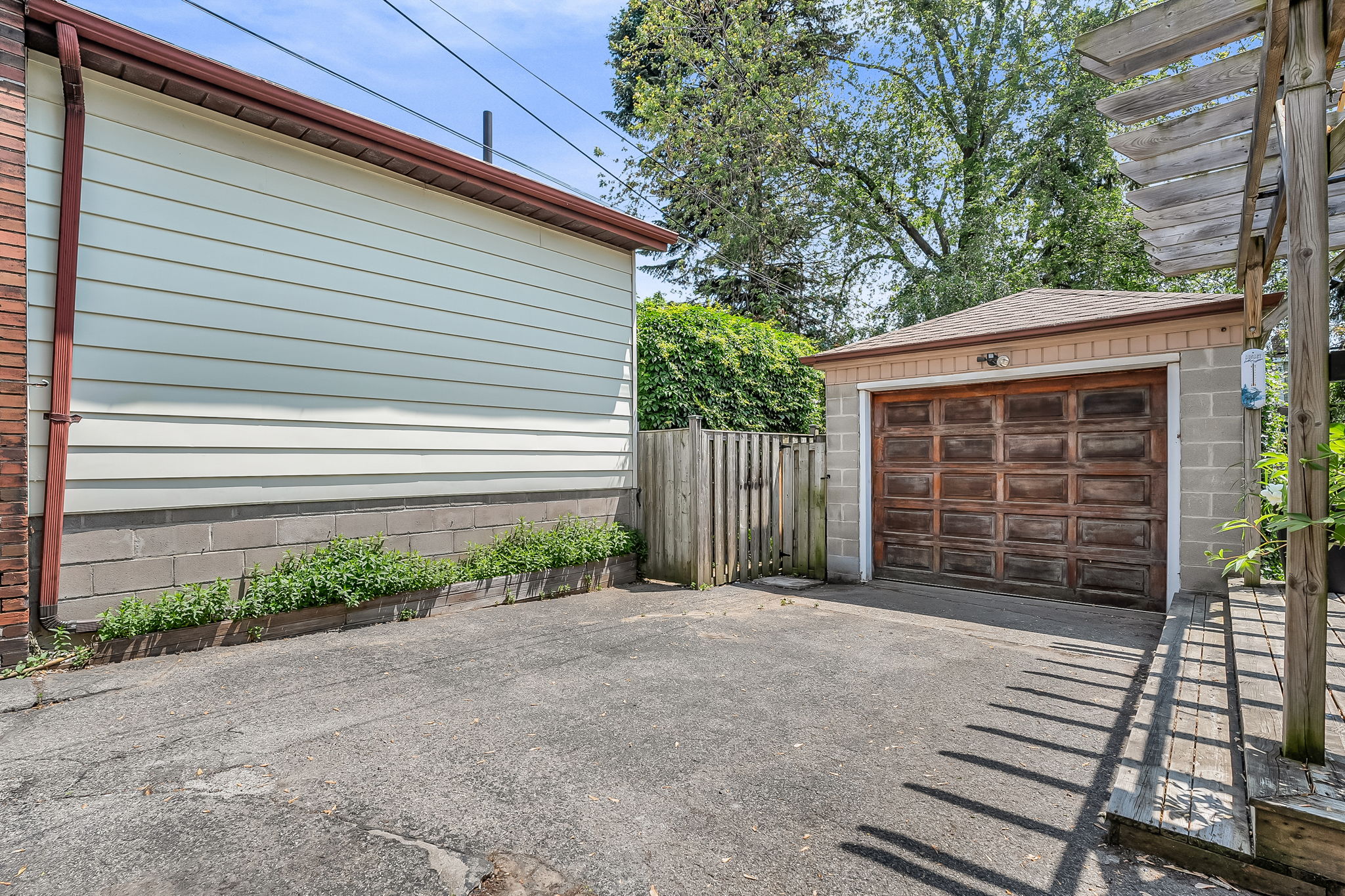 46-backyard2