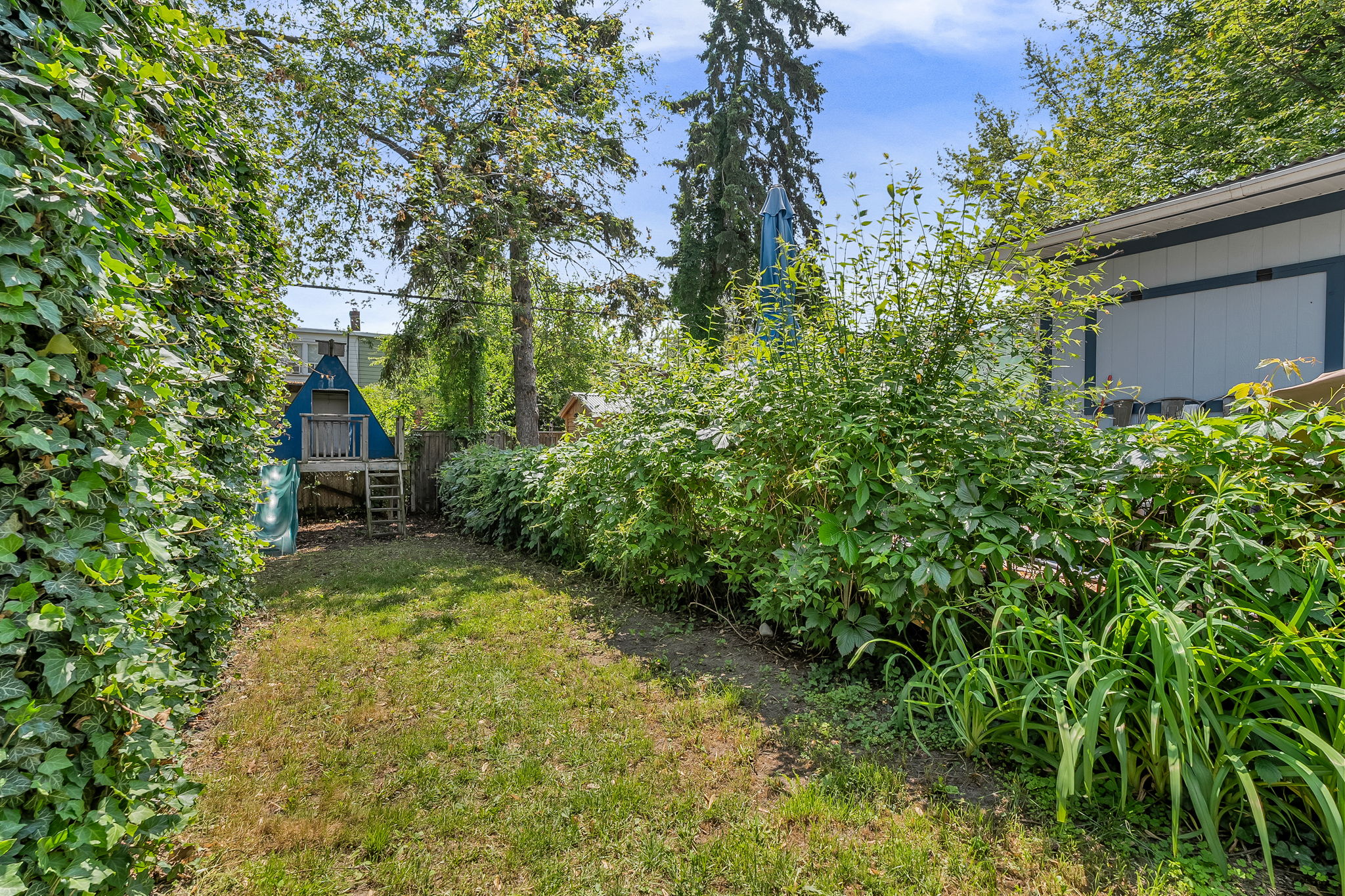 50-backyard6