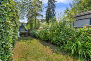 50-backyard6