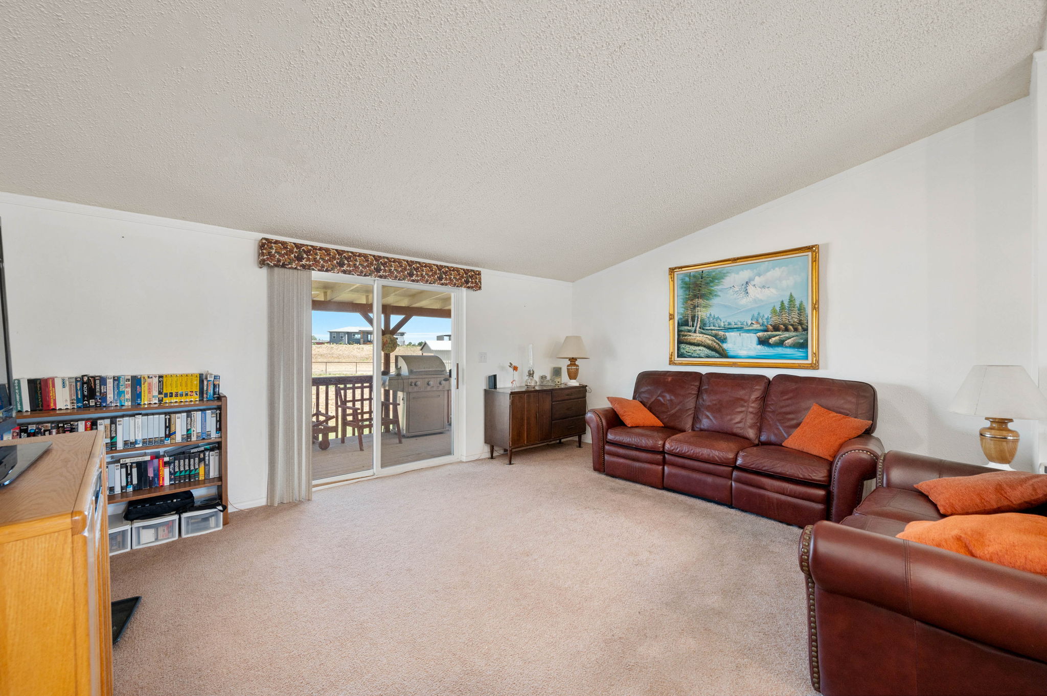 Living Room (1)