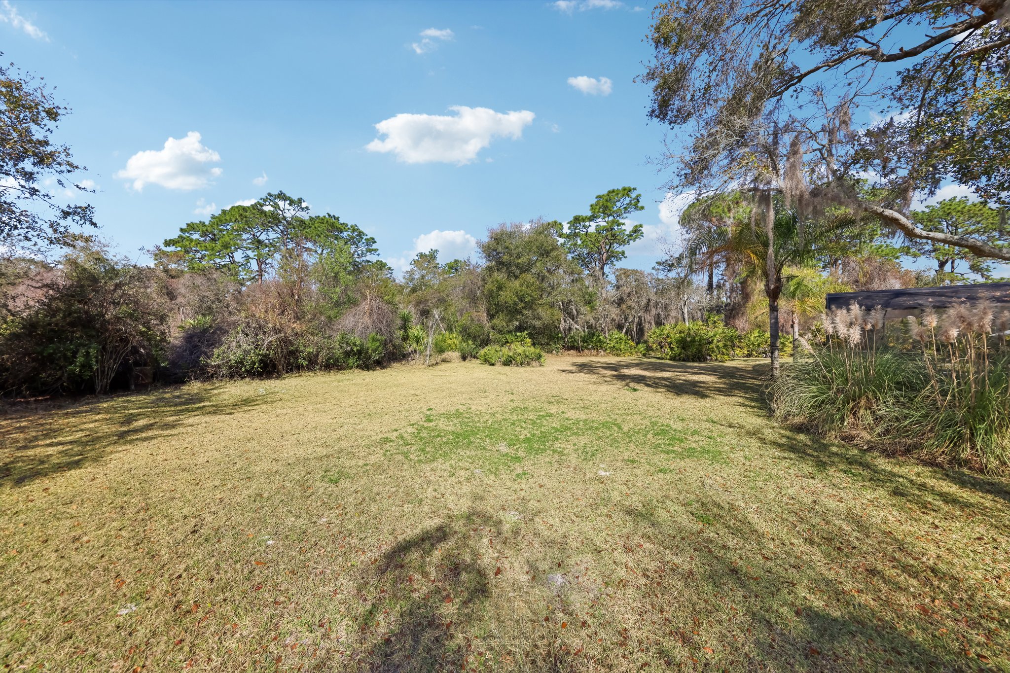 Old Ml-S2002-042.jpg