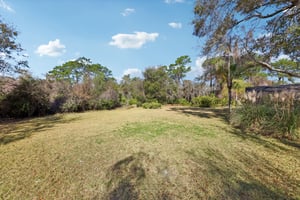 Old Ml-S2002-042.jpg