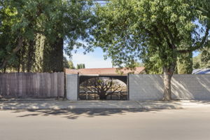  Photo 50