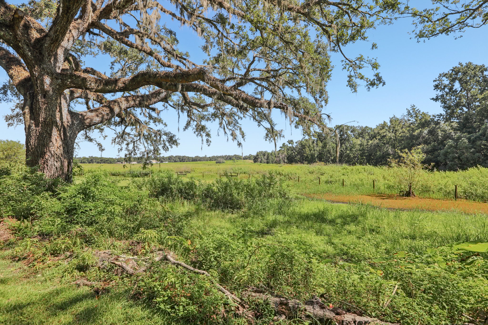 Bayhead Rd-S0708-049.jpg
