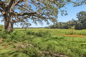 Bayhead Rd-S0708-049.jpg
