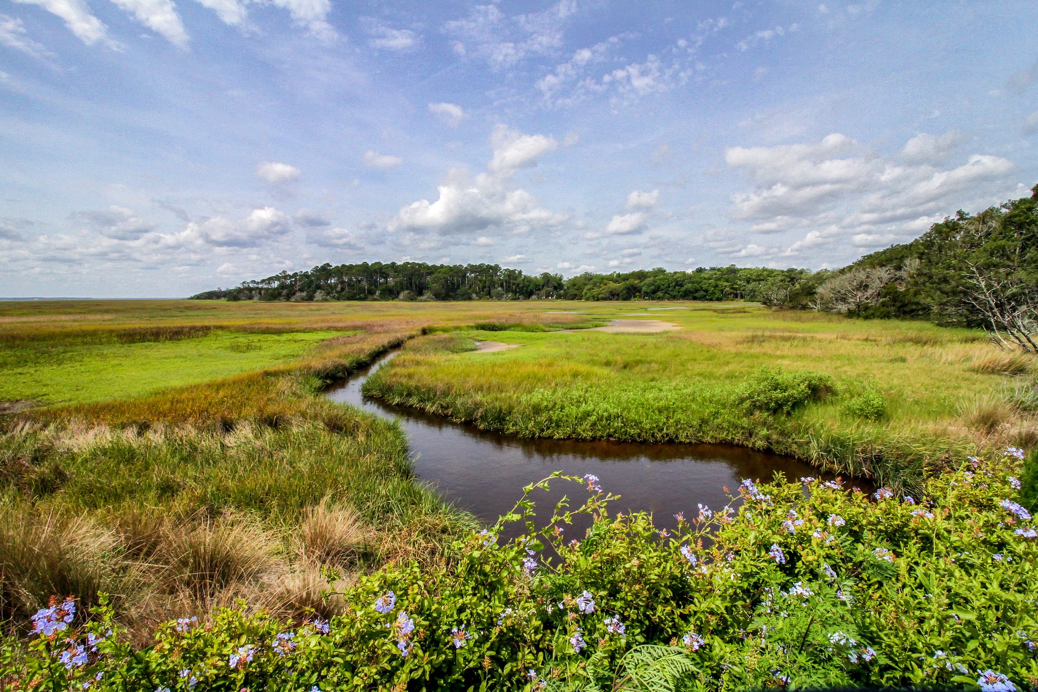 Amelia River to Sea Trail