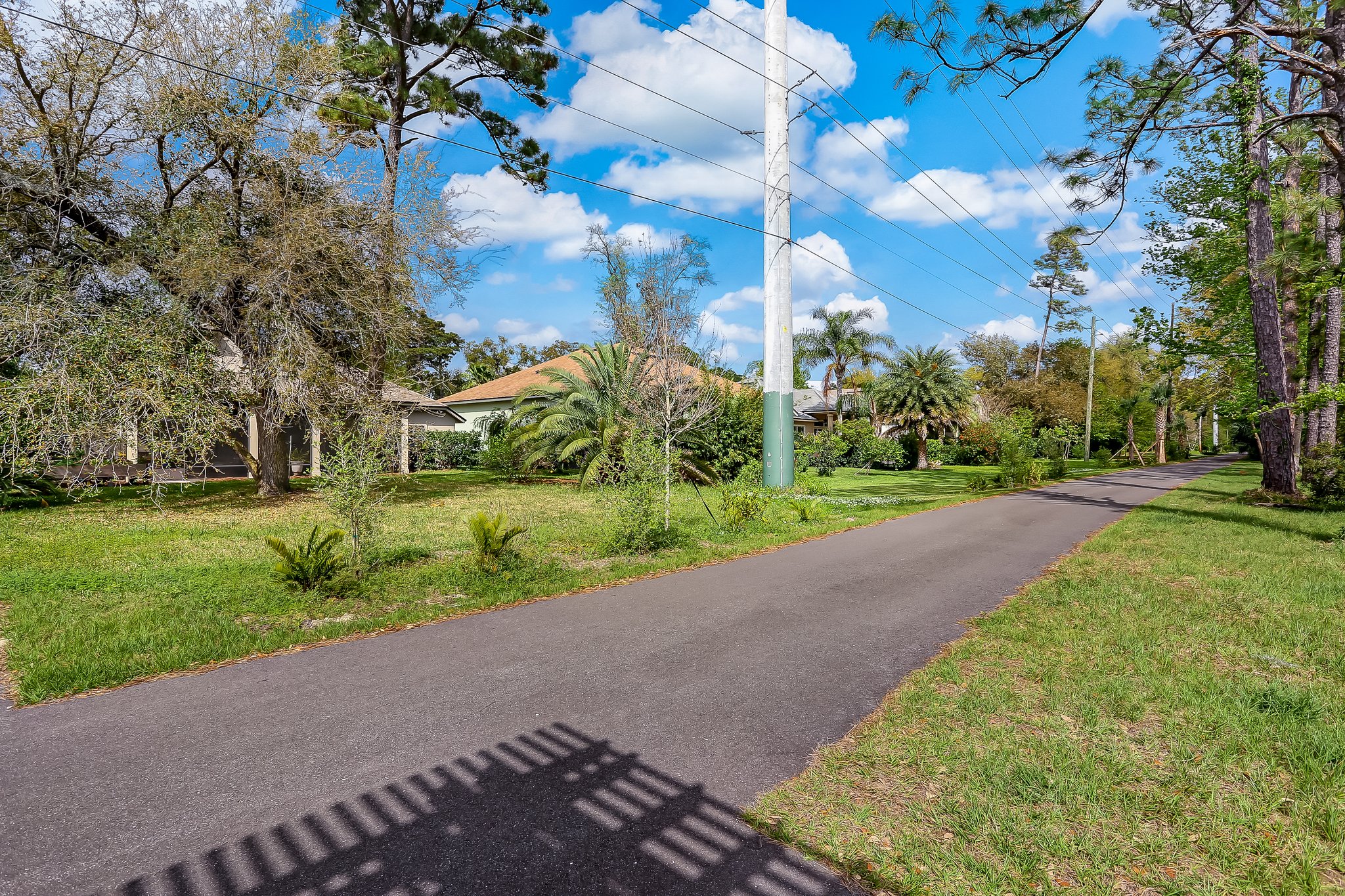 Amelia River to Sea Trail