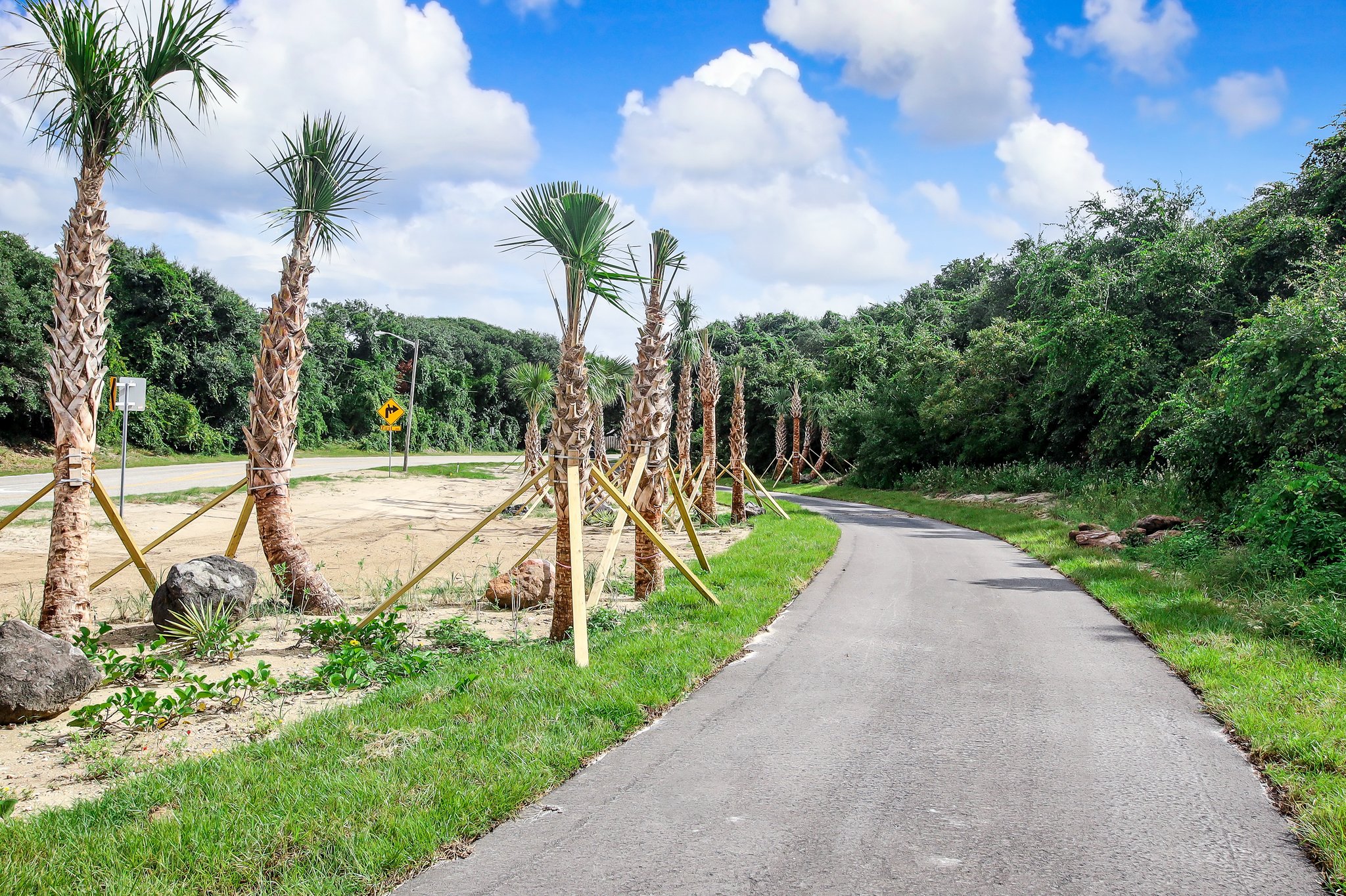 Amelia River to Sea Trail