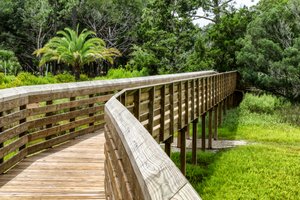 Amelia River to Sea Trail