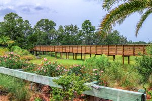 Amelia River to Sea Trail