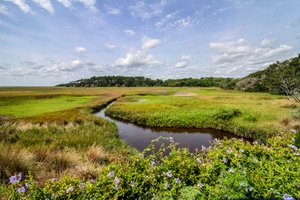 Amelia River to Sea Trail