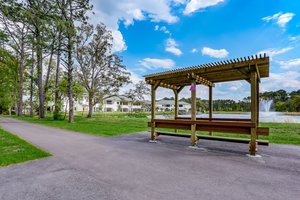 Amelia River to Sea Trail