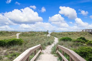 Amelia River to Sea Trail