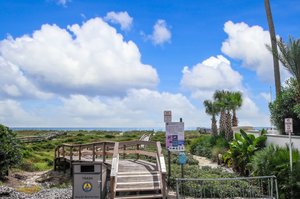 Amelia River to Sea Trail