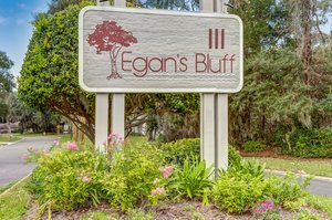 Egan's Bluff III