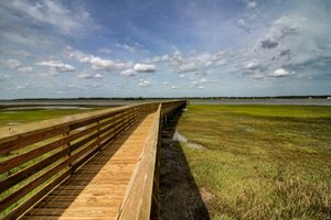 Amelia River to Sea Trail