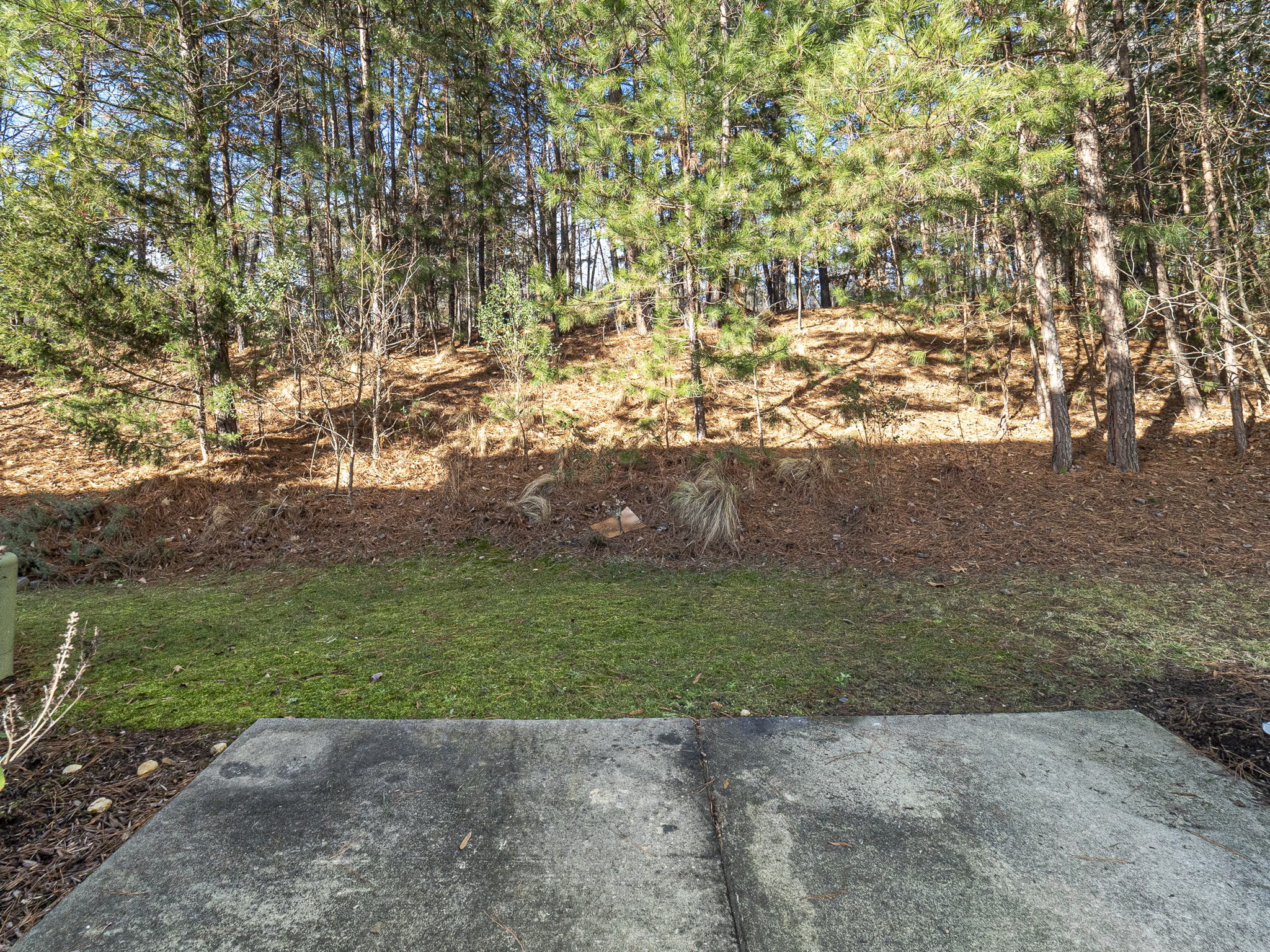2925 Winding Waters Way, Raleigh, NC 27614, USA Photo 32