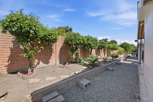 034_F8_29262 Whalebone Way