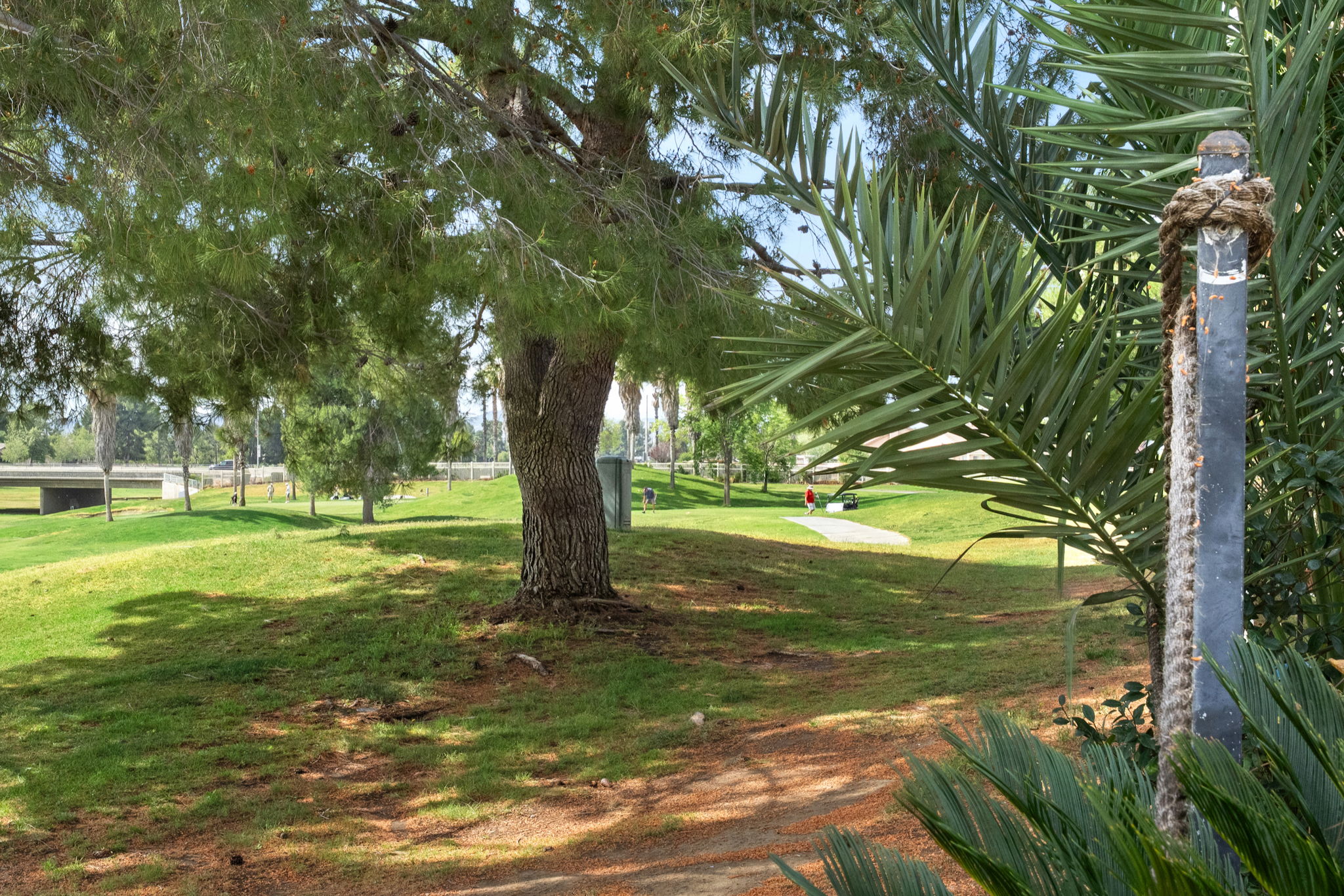  Photo 40