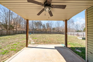  Photo 41