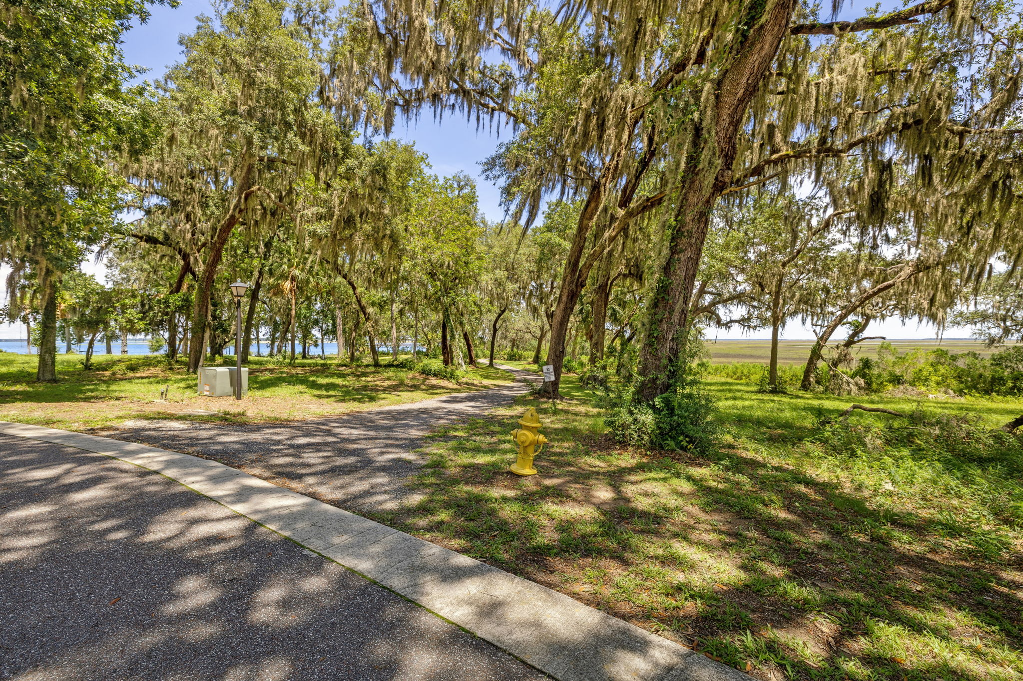 Waterman's Bluff
