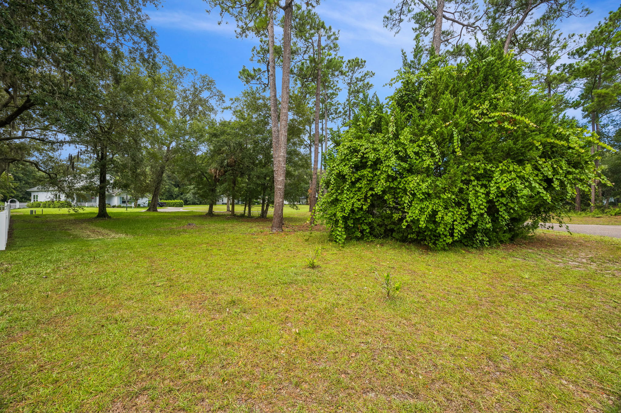 Side Yard