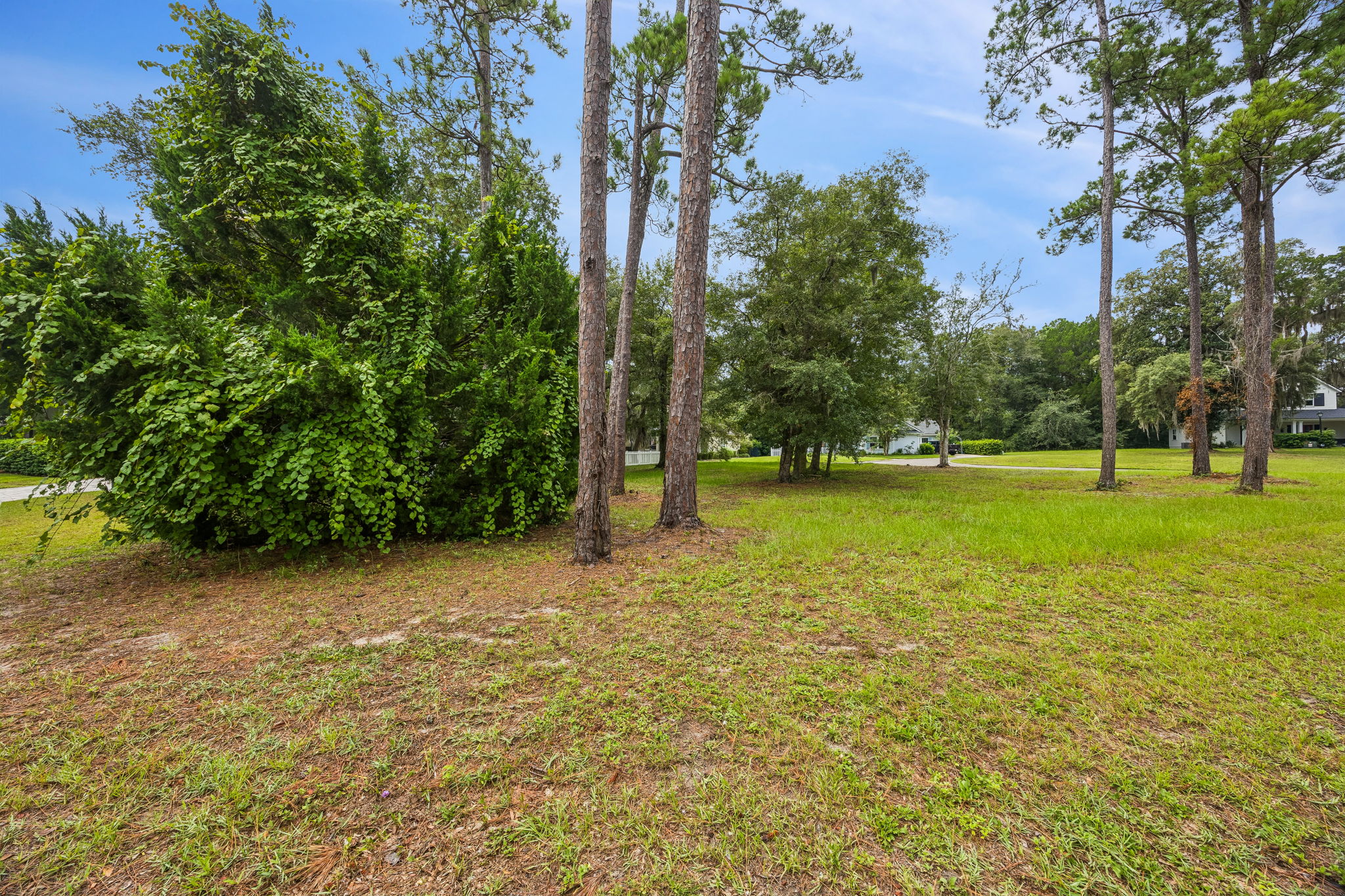 Side Yard