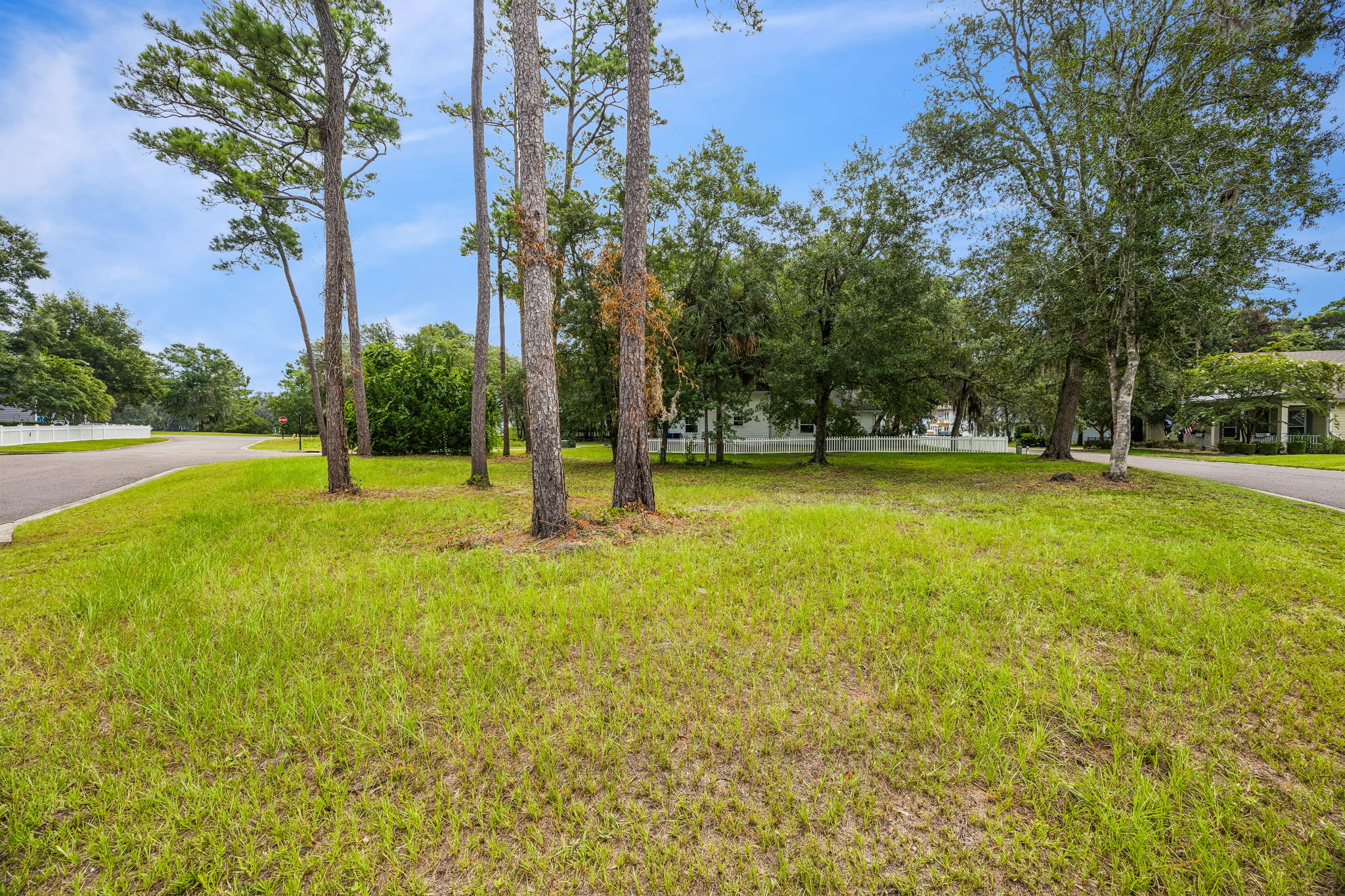 Side Yard