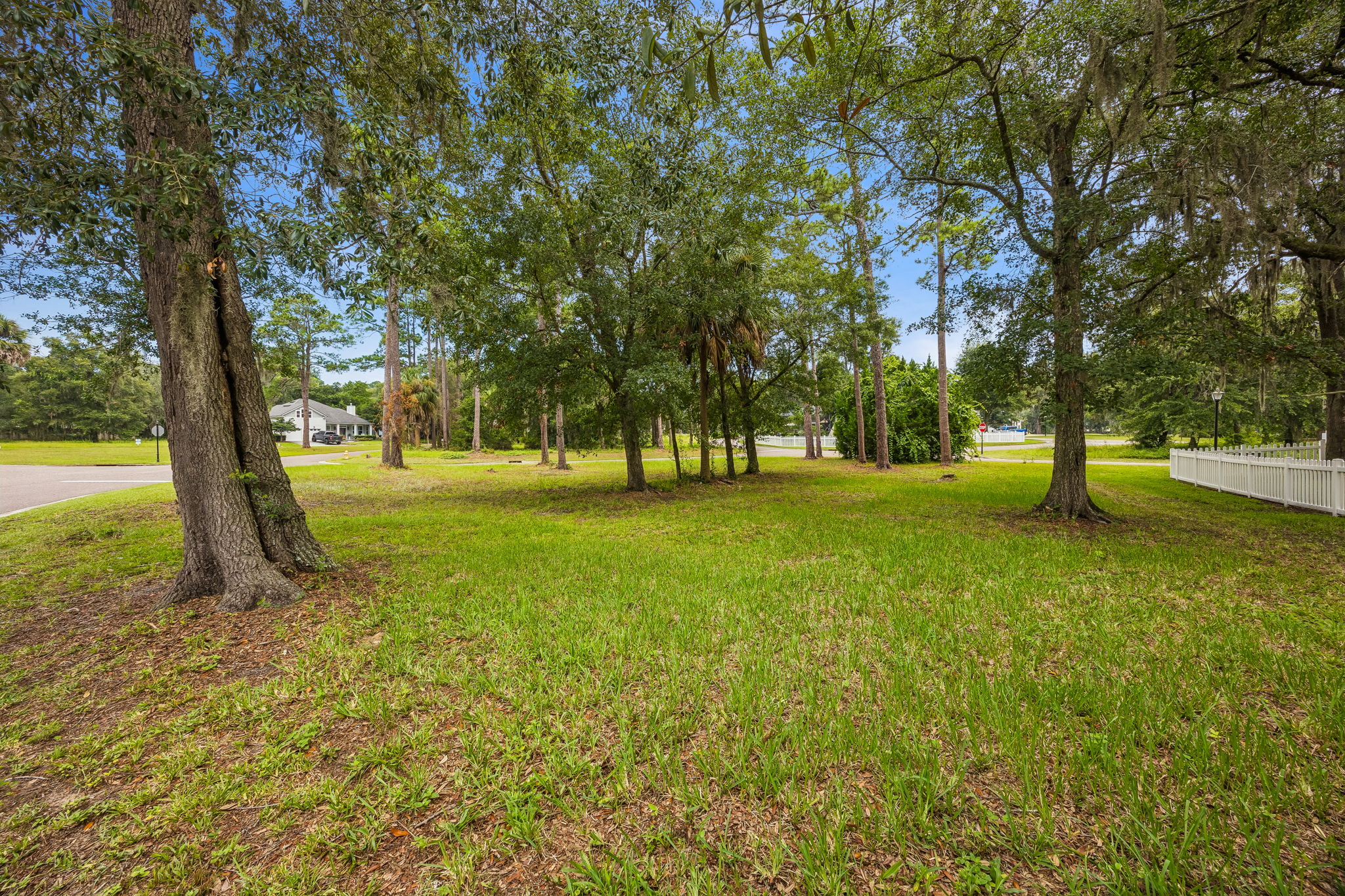 Side Yard