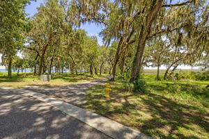 Waterman's Bluff