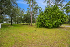 Side Yard