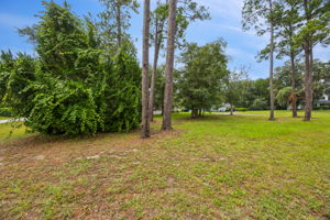 Side Yard
