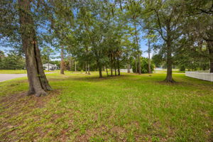 Side Yard