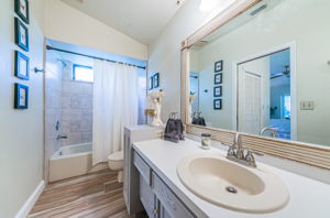 Master Bathroom1b