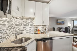 N Sheridan Rd unit 1503-012.jpg